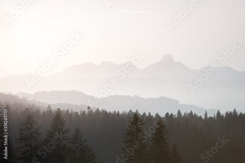 misty Stockhorn and forest near Schallenberg in Emmental