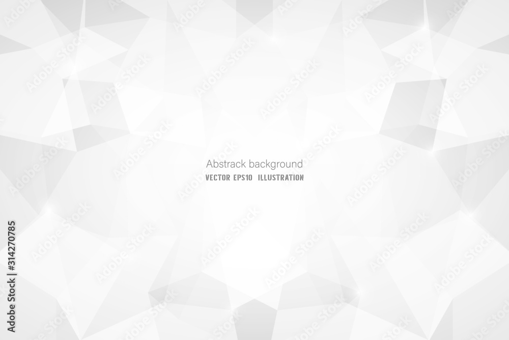 Fototapeta premium Abstract geometric white and gray polygon or lowpoly vector technology concept background.