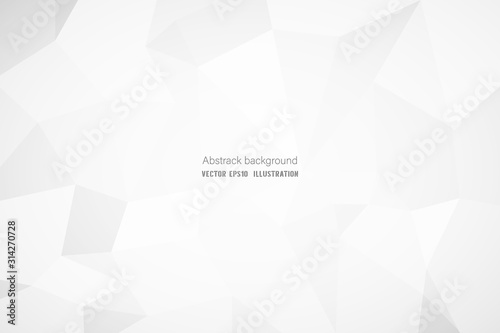 Abstract geometric white and gray polygon or lowpoly vector technology concept background.