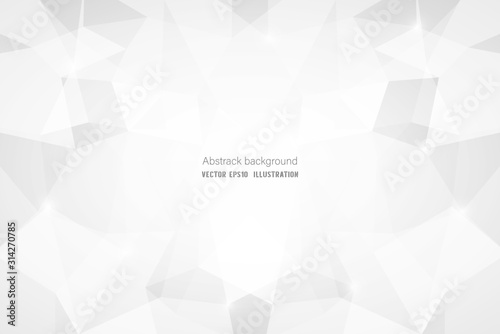 Abstract geometric white and gray polygon or lowpoly vector technology concept background.