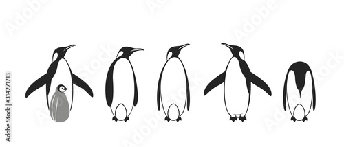 Penguin logo. King Penguin. Set