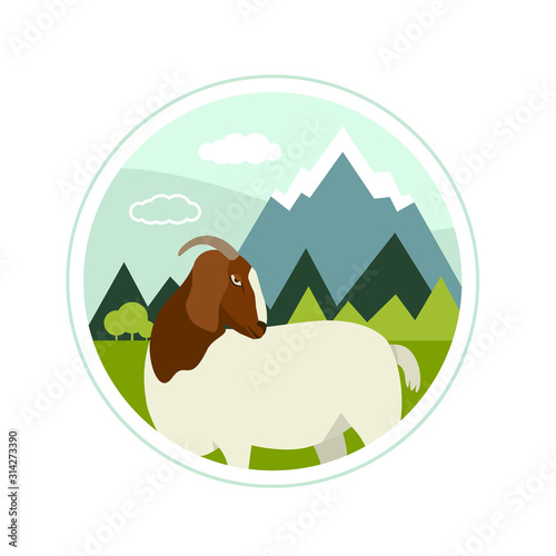 Farming today A Boer goat grazing on the alpine meadows Vector illustration
