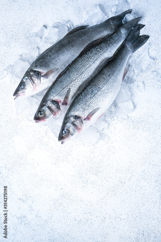 Fresh seabass fish on ice on white stone background, top view with copy space