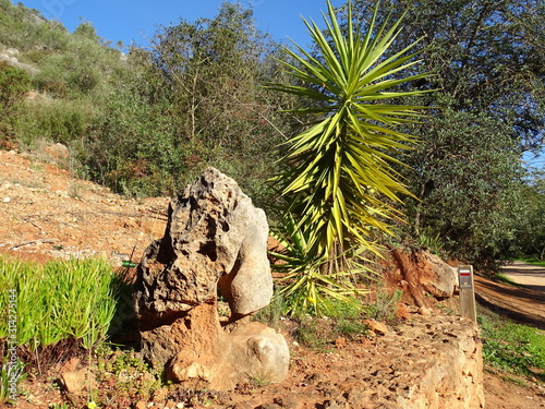 Nature example in the Algarve