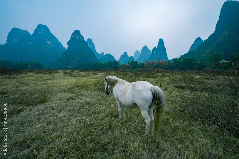 Fototapeta premium A white horse in karst hills