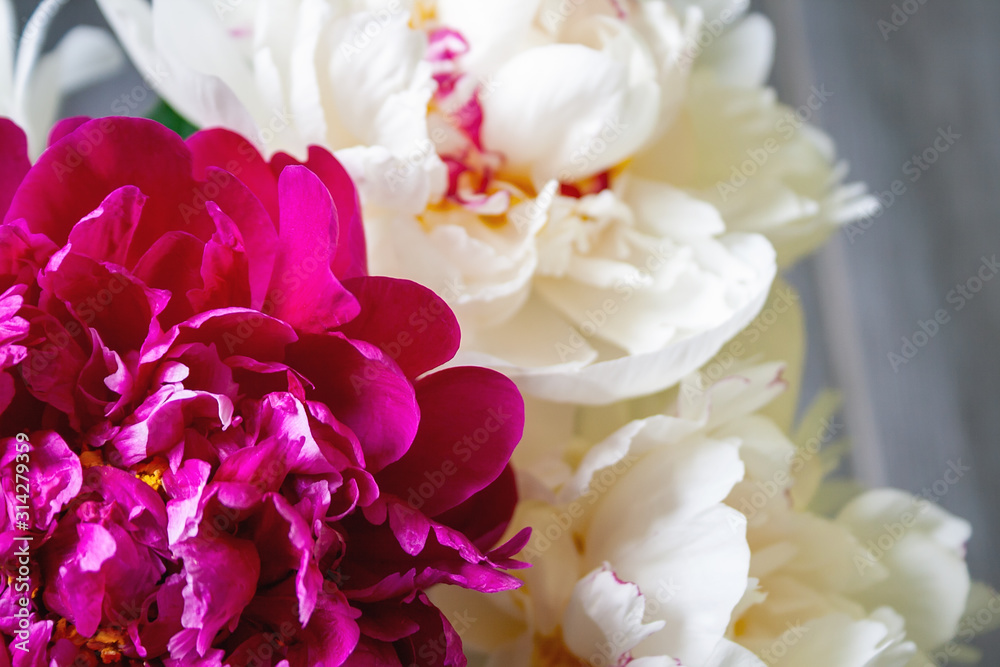 Obraz premium Closeup view of a bouquet of lush white and pink peonies. Beautiful delicate flowers as a gift for the holiday. Top view. Selective focus