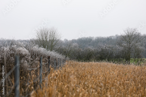 Gefrorene Landschaft mit Eiskristallen überzogen