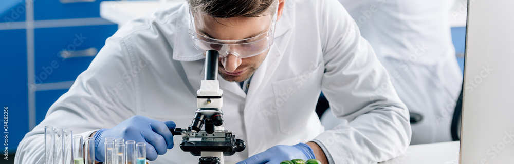 panoramic shot of molecular nutritionist using microscope in lab panoramic shot of molecular nutritionist using microscope in lab