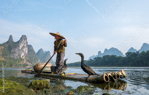 Fototapeta A fisherman and his cormorants on a bamboo raft in Guilin, China