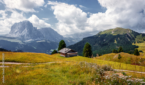 Incredible alpine highlands in summer in Dolomites Alps. Scenic image of famous Sassolungo peak. Splendid landscape in Val Gardena on sunny day. Gorgeous summer View of Alpine valley. Amazing nature