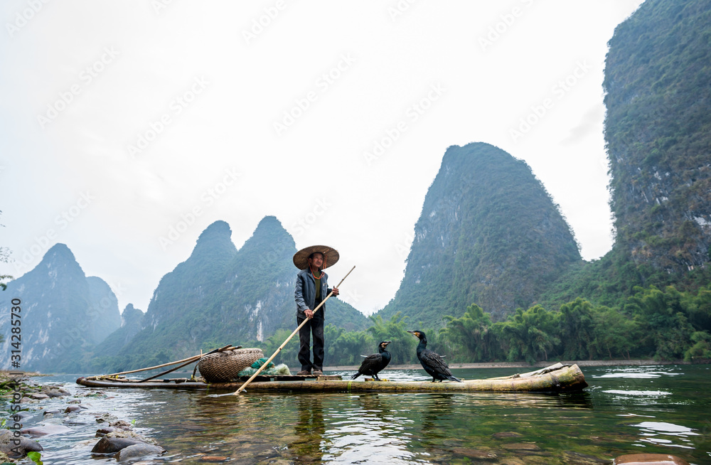 A fisherman and his cormorants on a bamboo raft in Guilin, China A fisherman and his cormorants on a bamboo raft in Guilin, China