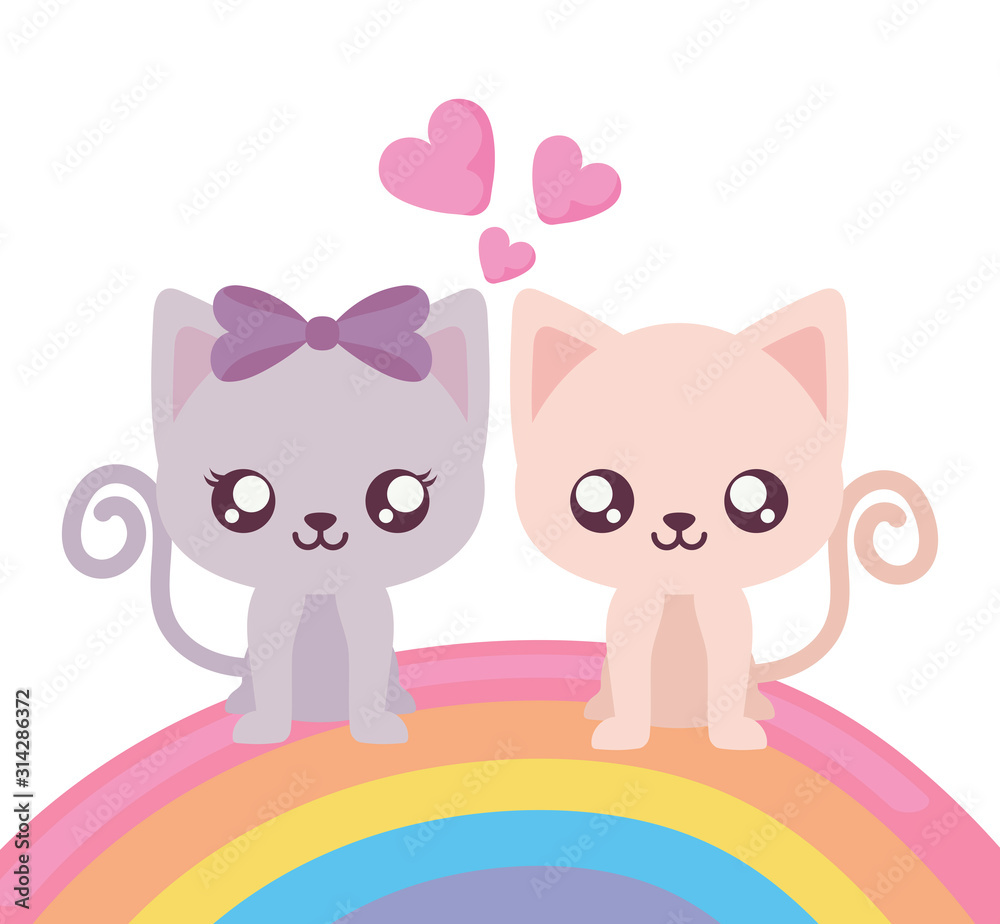 Isolated couple of cats and rainbow vector design