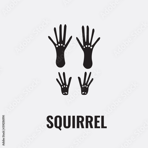 Squirrel footprint trail. Front and back footprints. Vector illustration.