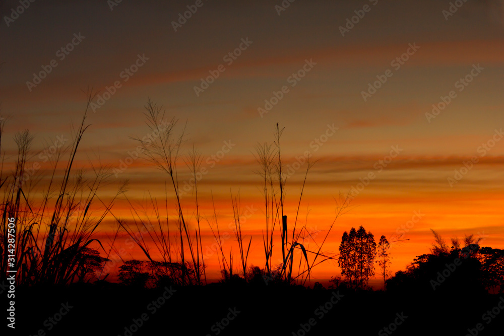Wide grassland and sunset in a romantic atmosphere