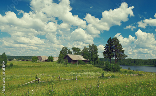 Russian  summer meadow photo