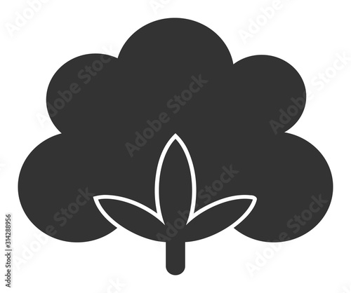 Wallpaper Mural Cotton flower vector icon. Flat Cotton flower symbol is isolated on a white background. Torontodigital.ca