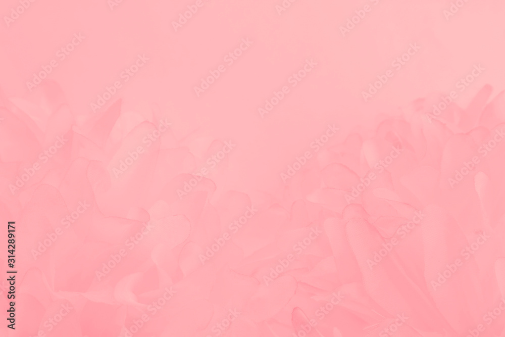 Beautiful abstract color white and pink flowers on white background and white flower frame and orange leaves background texture, flowers banner, pink background