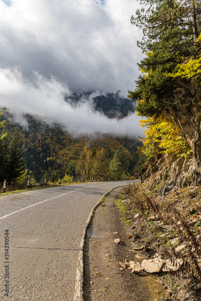 The road  passing through the mountains covered with forests in the mountainous part of Georgia in rainy weather