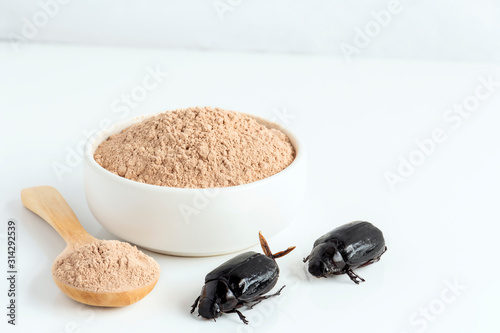 Scarab beetle insect powder. Insects flour for eating as food edible made of cooked insect meat in bowl and spoon on white background is good source of protein. Future of food, entomophagy concept. photo