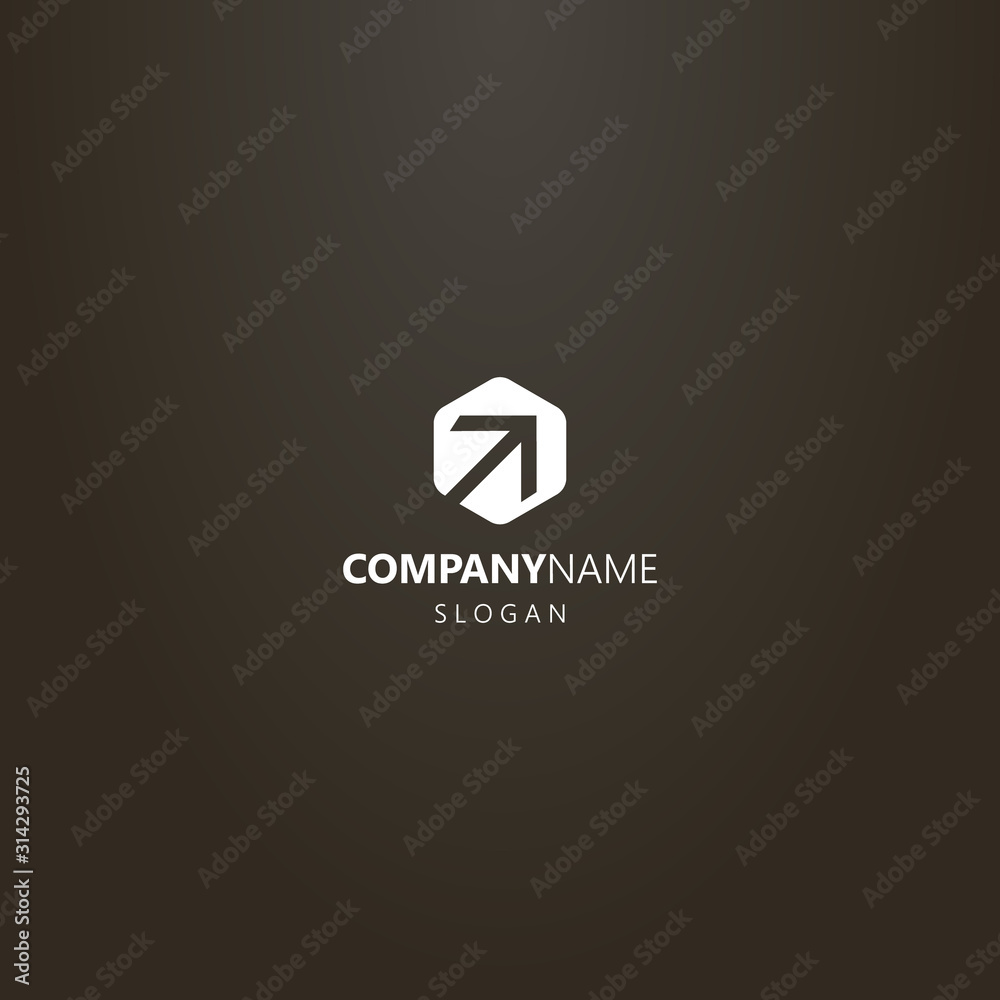 white logo on a black background. simple vector negative space hexagon logo of arrow pointing up white logo on a black background. simple vector negative space hexagon logo of arrow pointing up