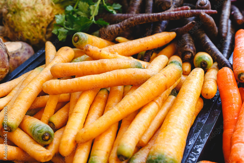 Fresh raw organic uncooked carrot vegetables for sale at farmers market. Vegan food and healthy nutrition concept. Top view lifestyle stock photo carrot as food background. Different types of carrots. Fresh raw organic uncooked carrot vegetables for sale at farmers market. Vegan food and healthy nutrition concept. Top view lifestyle stock photo carrot as food background. Different types of carrots.