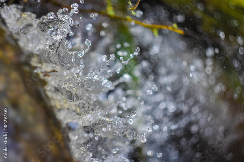 water drops on leaf © Яна Торосян