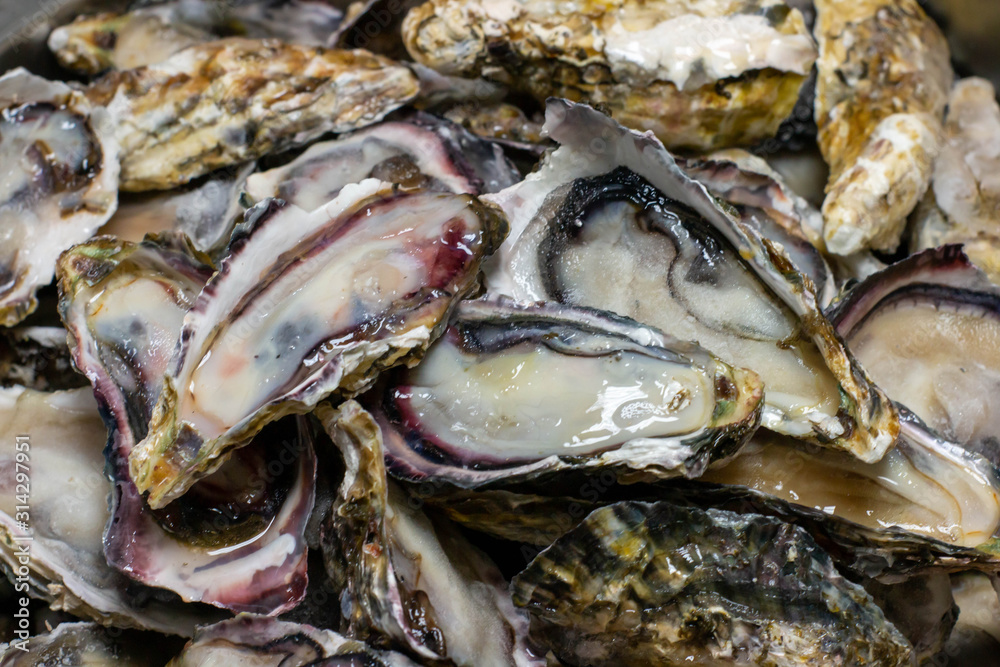 oyster on ice in buffet oyster on ice in buffet