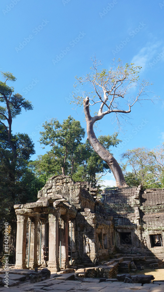 Landscape view of Ta Prohm Temple in Angkor wat complex, Siem Reap Cambodia.