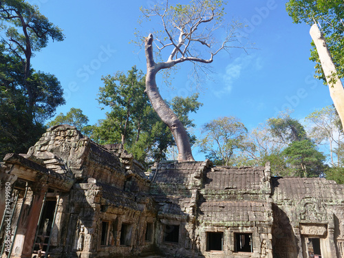 Landscape view of Ta Prohm Temple in Angkor wat complex, Siem Reap Cambodia.