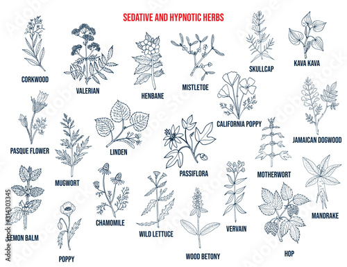 Best sedative and hypnotic herbs