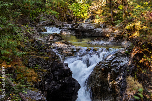 Lush greenery and waterfalls  Qualicum Falls  Vancouver Island  BC  Canada