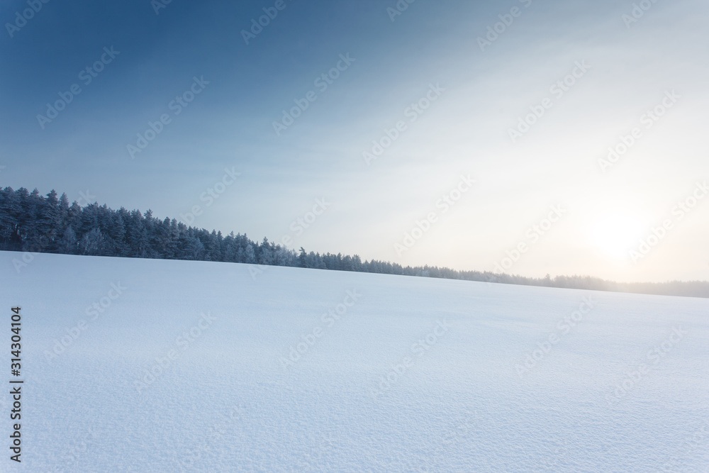 winter landscape with the forest and the sun