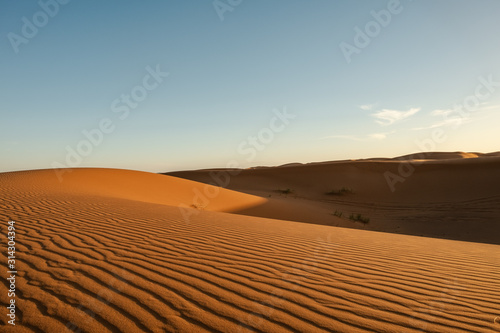 Atardecer en el desierto con dunas de fondo. Erg Chebbi  Marruecos.