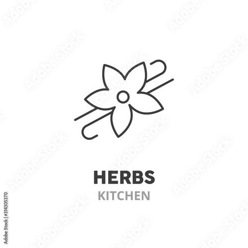 Vanilla thin line icon. Kitchen herbs symbol  vector illustration  isolated on white background. .