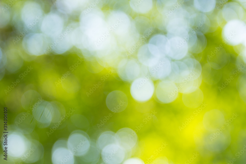 Obraz premium abstract green background with bokeh