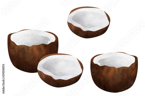 Bright coconut classic, universal drawn clip art on white background