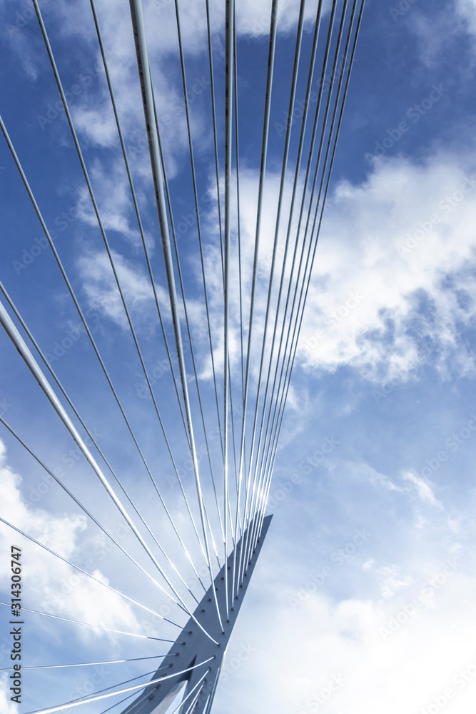 Fototapeta premium Erasmus bridge in Rotterdam