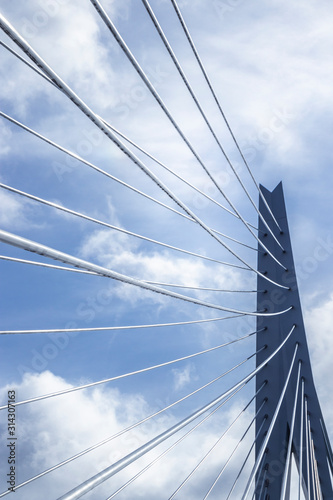 Erasmus bridge in Rotterdam