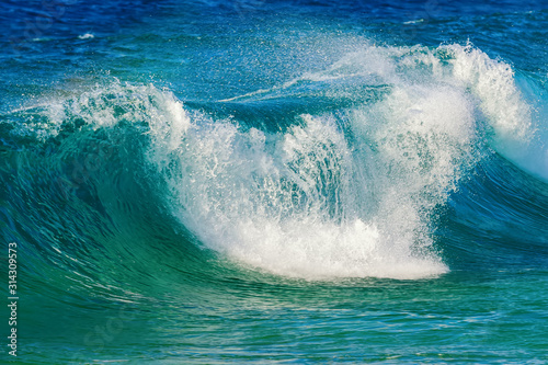 big wave at the pacific ocean on Oahu, Hawaii