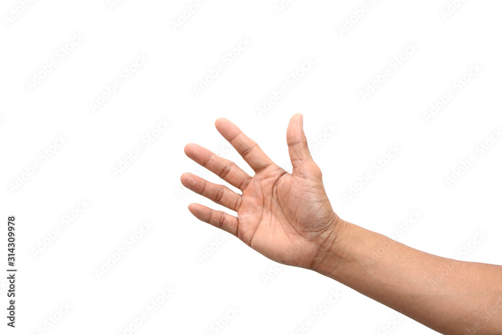 Empty hand holding isolated on the white background. Empty hand holding isolated on the white background.
