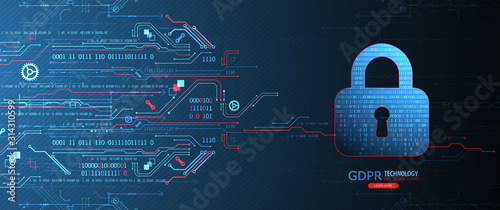 Cyber security or network protection.  System privacy.