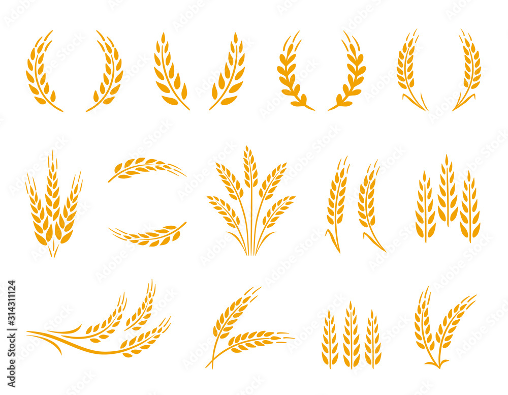 Wheat wreaths and grain spikes set icons - obrazy, fototapety, plakaty 