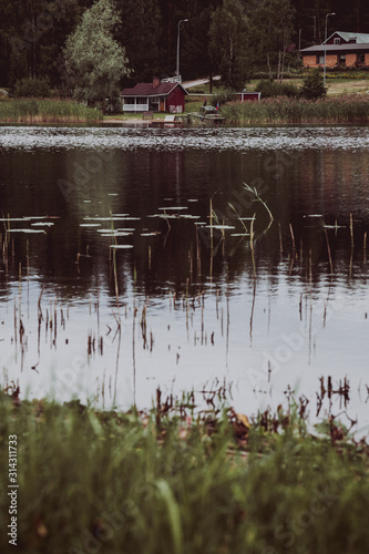wooden building on the lake shore near autumn pine forrest