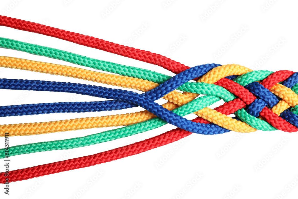 Braided colorful ropes isolated on white, top view. Unity concept Braided colorful ropes isolated on white, top view. Unity concept