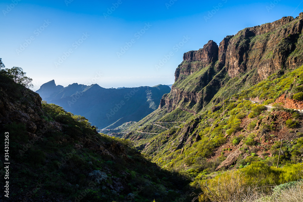 Naklejka premium Spain, Tenerife, Twisting mountain road leading alongside green mountains covered by cactus, aloe vera and vegetation in masca canyon