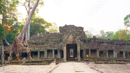 Landscape view of demolished stone architecture and aerial tree root at Preah Khan temple Angkor Wat complex, Siem Reap Cambodia. A popular tourist attraction nestled among rainforest.