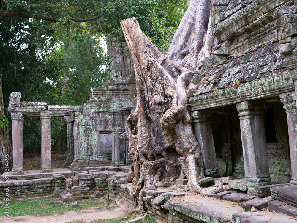 Landscape view of demolished stone architecture and aerial tree root at Preah Khan temple Angkor Wat complex, Siem Reap Cambodia. A popular tourist attraction nestled among rainforest. Landscape view of demolished stone architecture and aerial tree root at Preah Khan temple Angkor Wat complex, Siem Reap Cambodia. A popular tourist attraction nestled among rainforest.