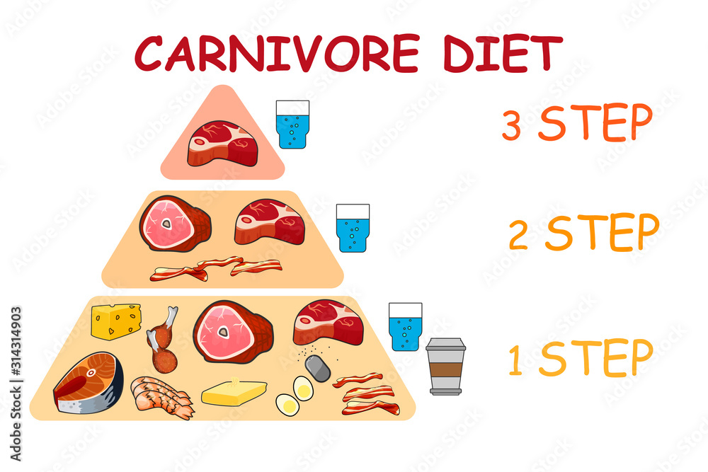 Carnivore diet pyramid vector illustration. Stock Vector Adobe Stock