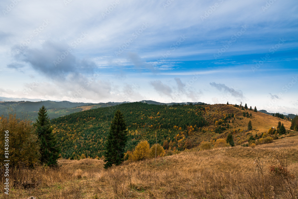 Mountain autumn landscape covered with colorful forest and grass.