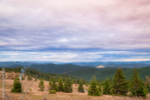 Spruce trees down the hill with dried grass on sunny day in autumn mountains.